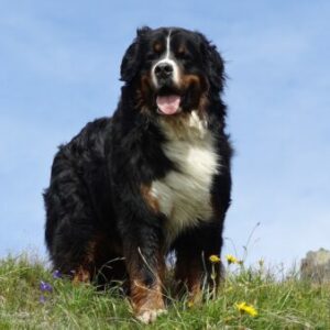 Profile photo of Lina.Travel